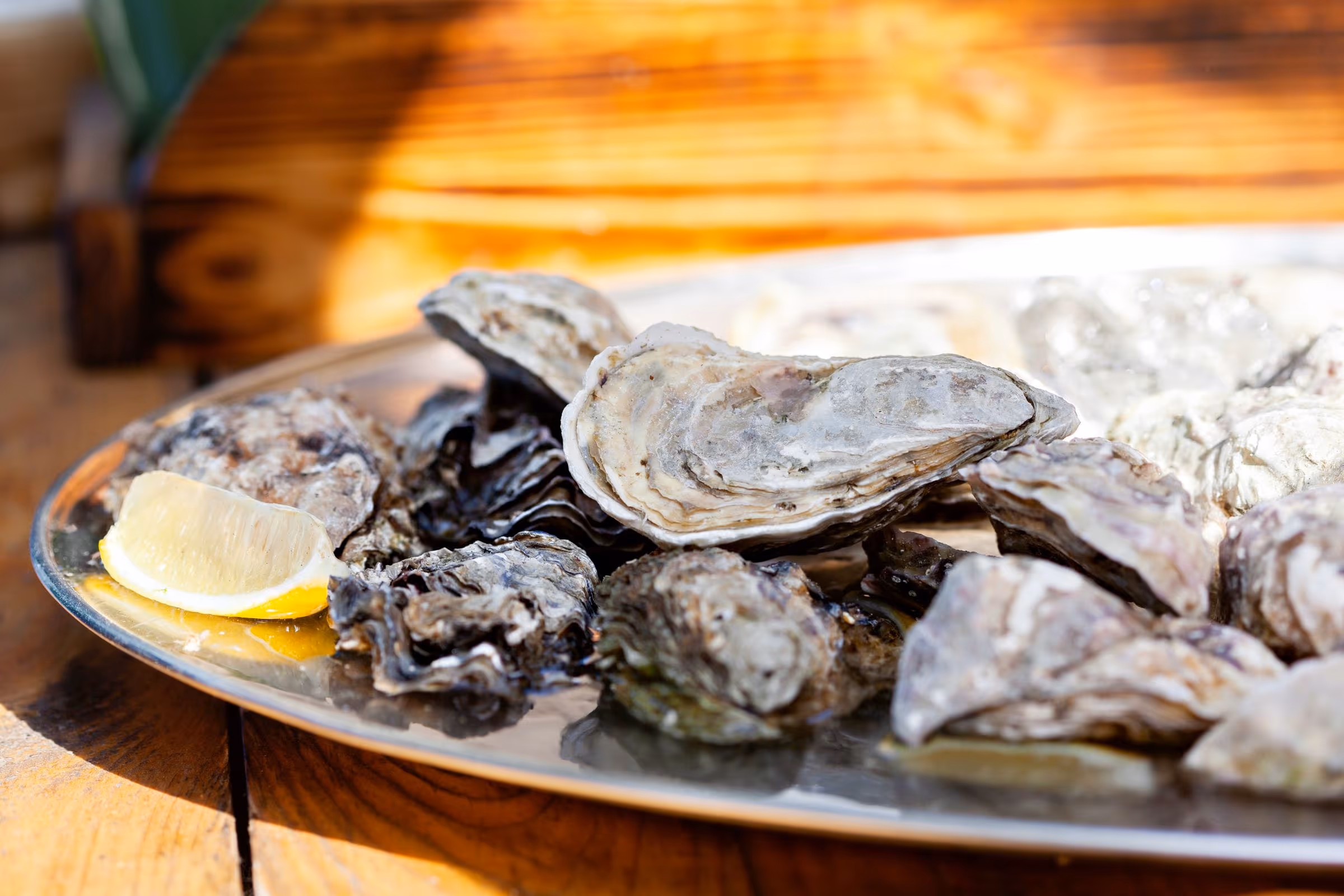 Fowler's Wild Bluff Oysters, Bluff — photo 3