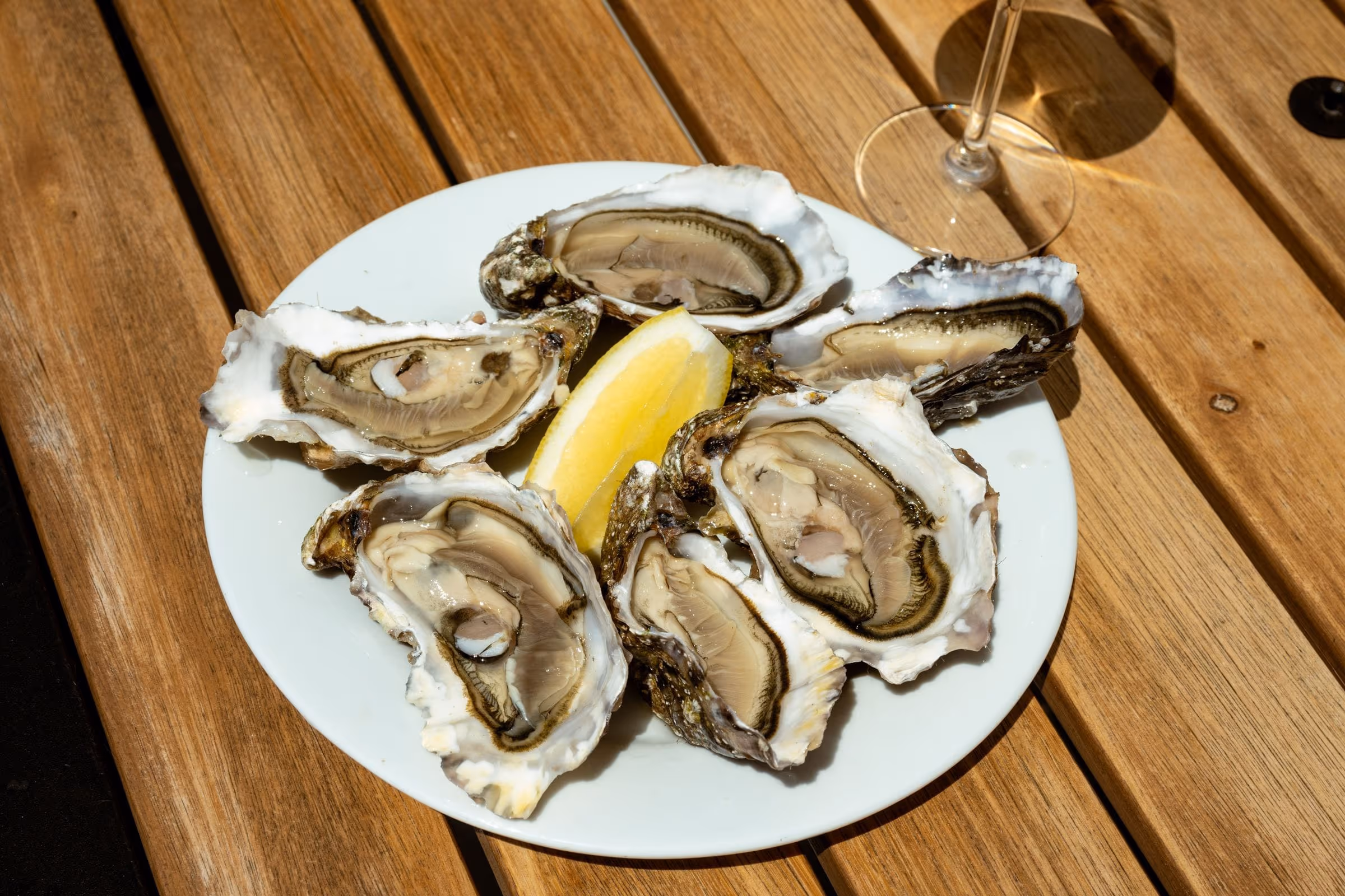 Fowler's Wild Bluff Oysters, Bluff — photo 4
