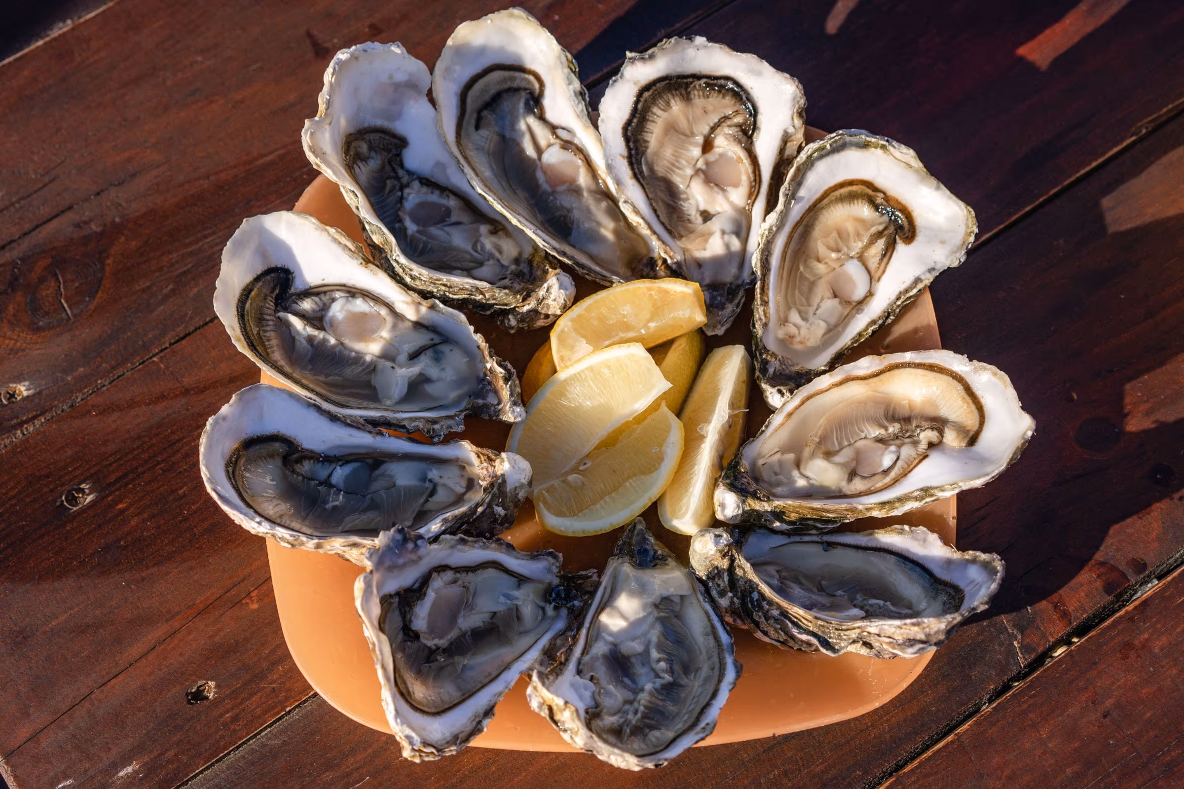 Fowler's Wild Bluff Oysters, Bluff — photo 5