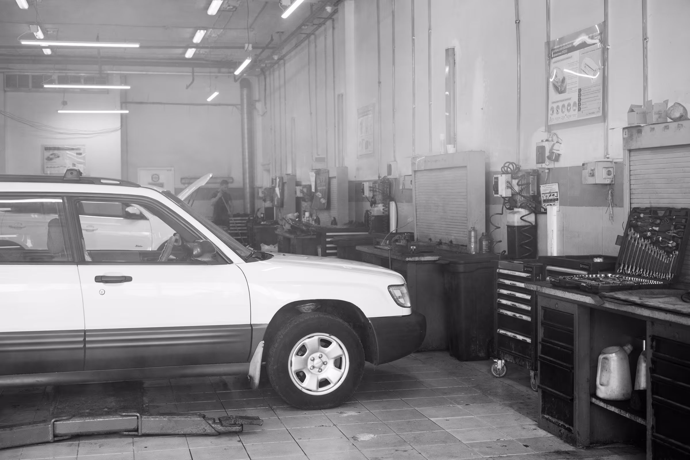 T M Automotive, Dunedin — photo 5